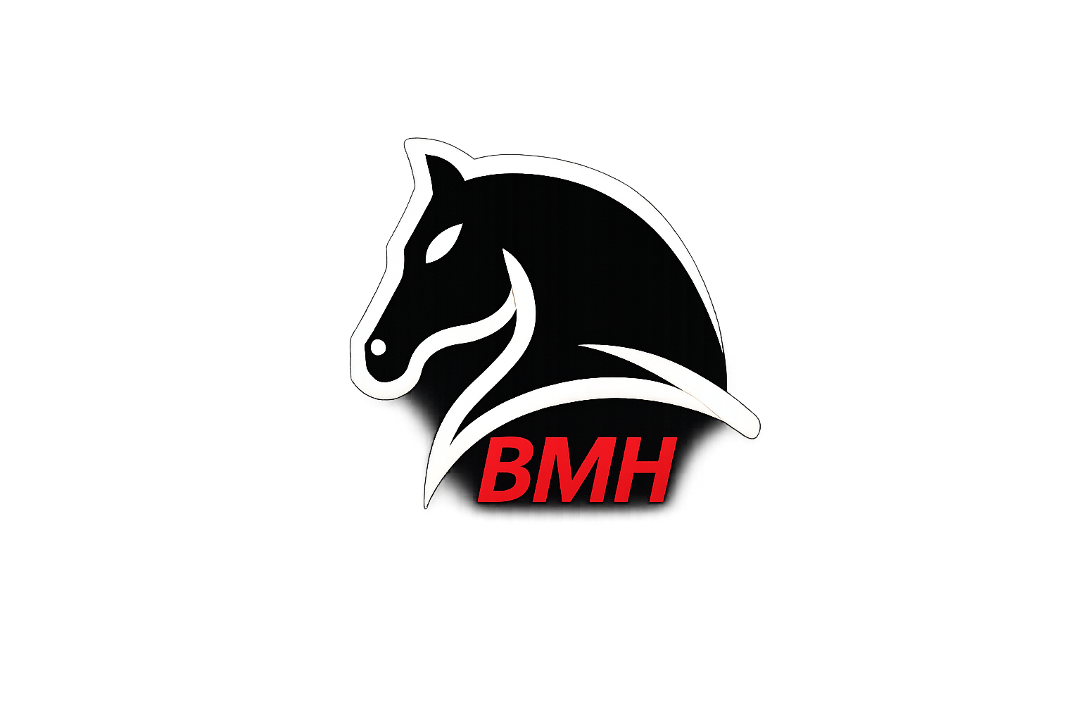 BMH